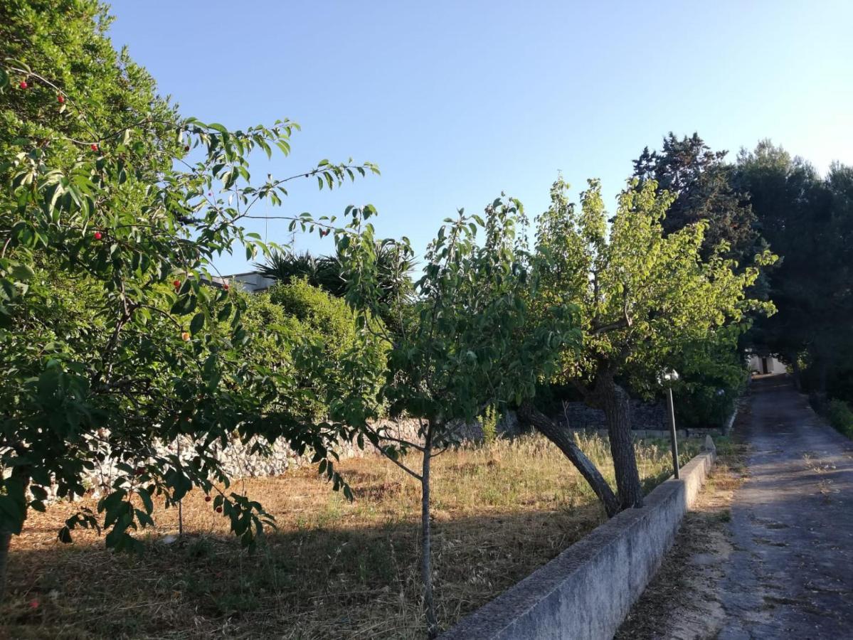 Ciao B&B Selva Di Fasano Esterno foto